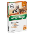 Advantage für Katzen